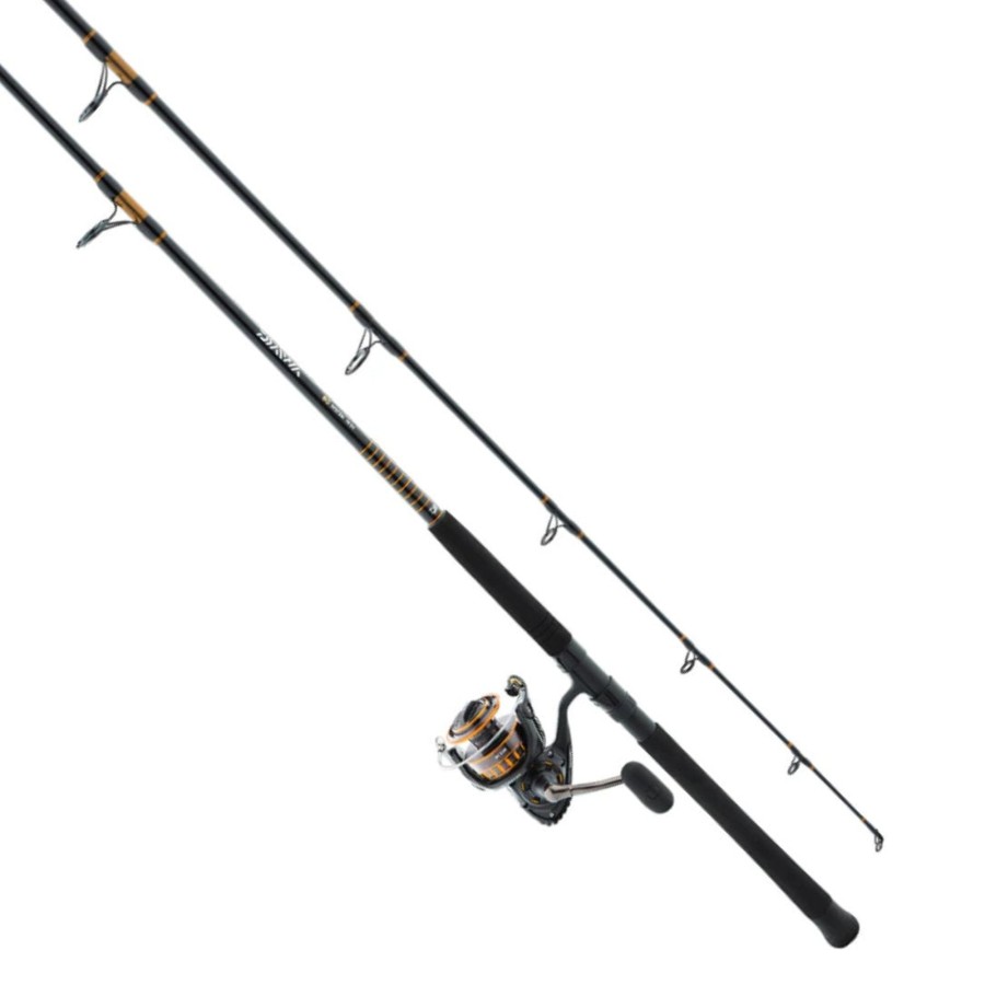 Rods & Reels Daiwa | Daiwa Bg Saltwater Spinning Combo