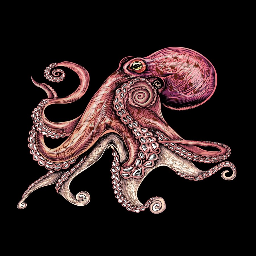 Aerators Hifishgear | Hfg - Tako Vinyl Sticker (Octopus)