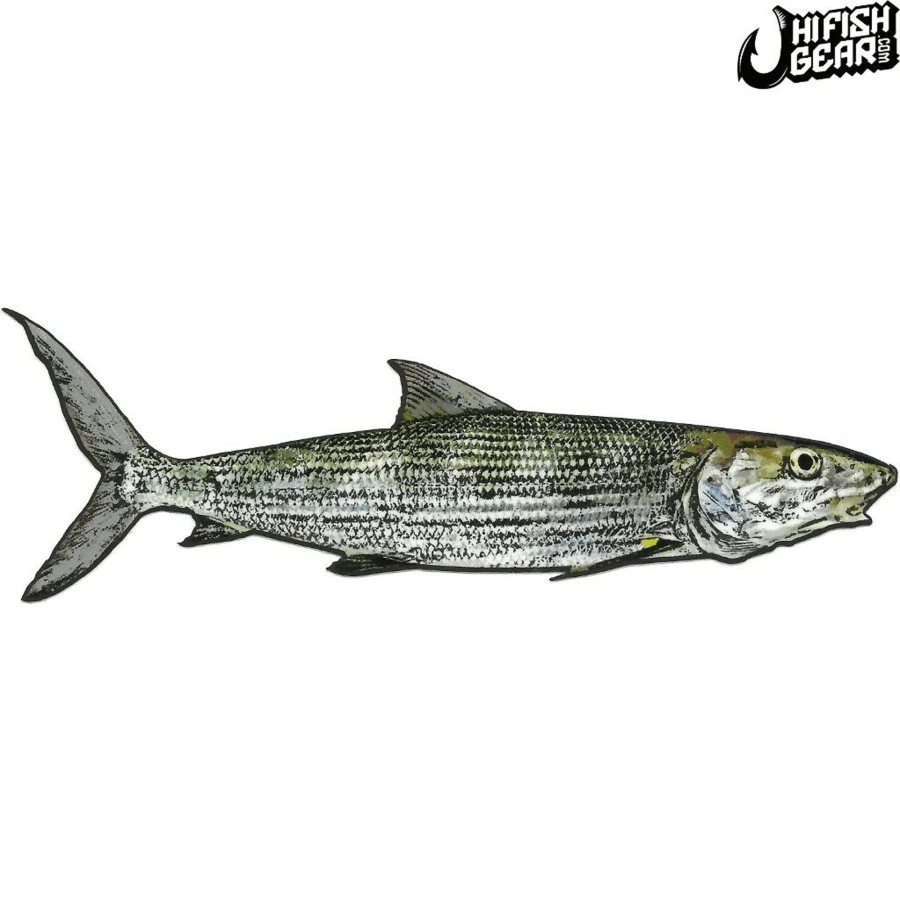 Aerators HiFishGear | Hfg 5" Oio (Bonefish) Sticker