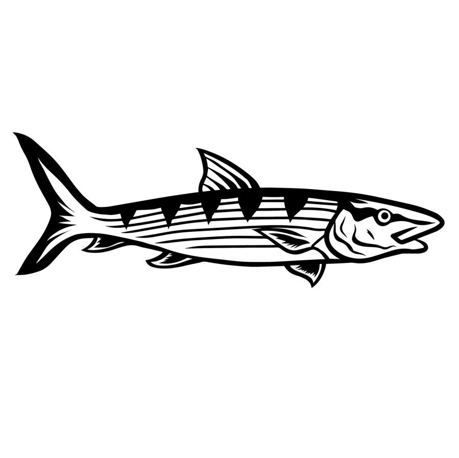 Aerators HiFishGear | Hfg 8" Black & White Oio Vinyl Sticker